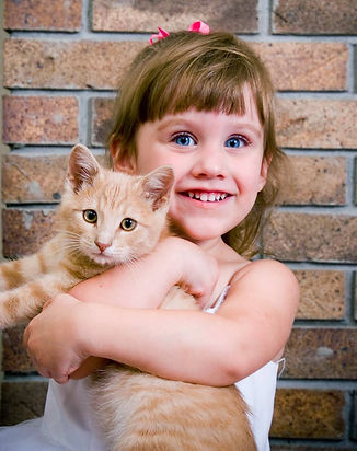 Kitty Love