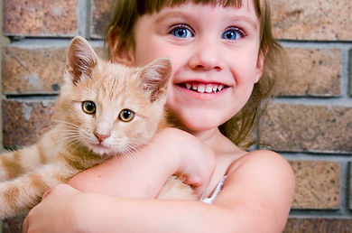 Kitty Love