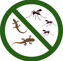 anti-lizards, mosquitos png.png