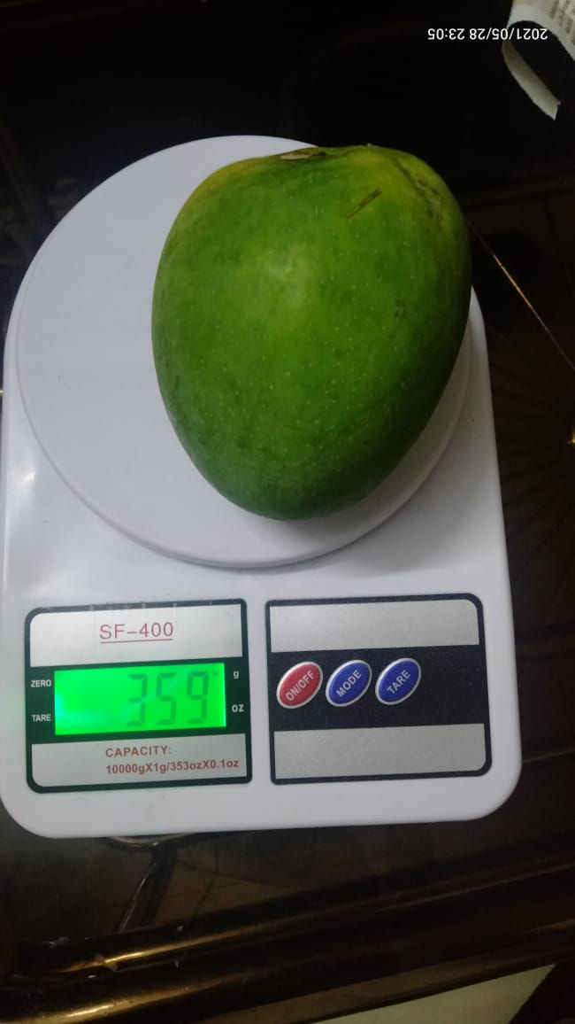 Thumbnail: Jumbo Alphonso Mangoes-Ratnnagiri Hapus