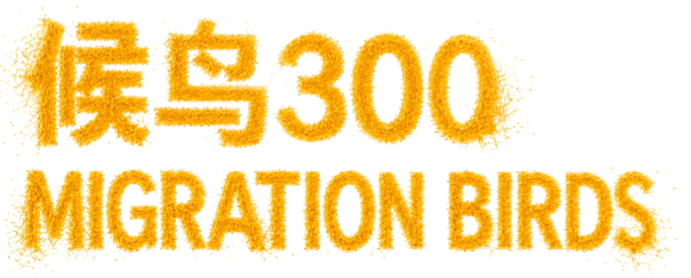 候鸟300.webp