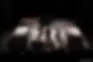 世界头头尾尾