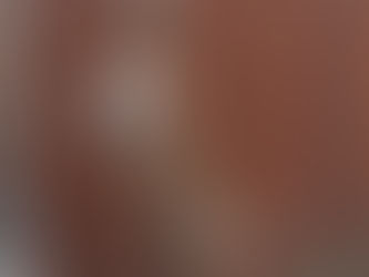 Why Leland APBTs is a Trusted PitBull Breeder in Washington State