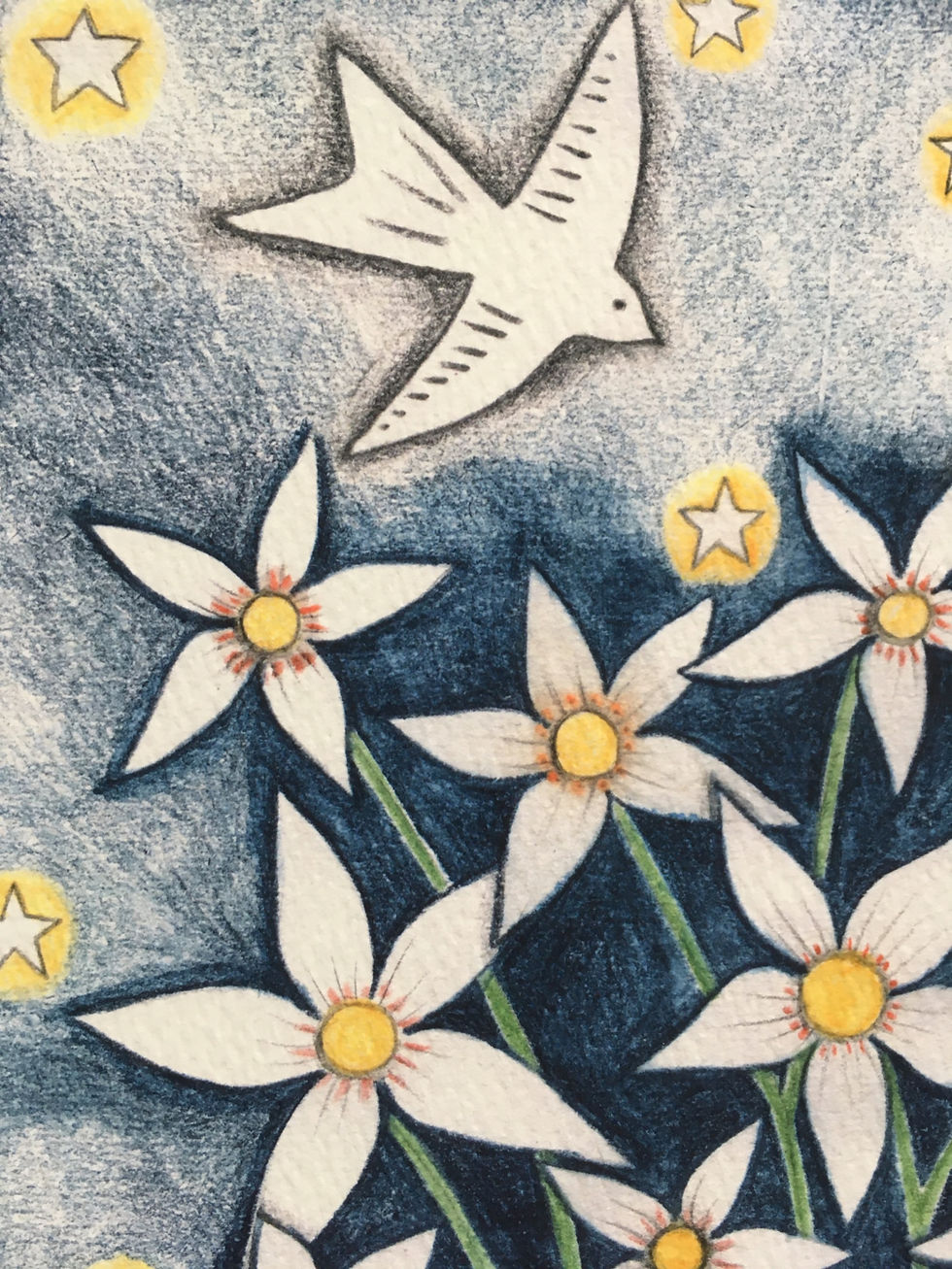 Thumbnail: Star Flowers