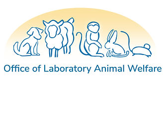 NeoSome_OLAW_logo-01.jpg