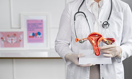doctor-vista-frontal-modelo-anatomico.jpg