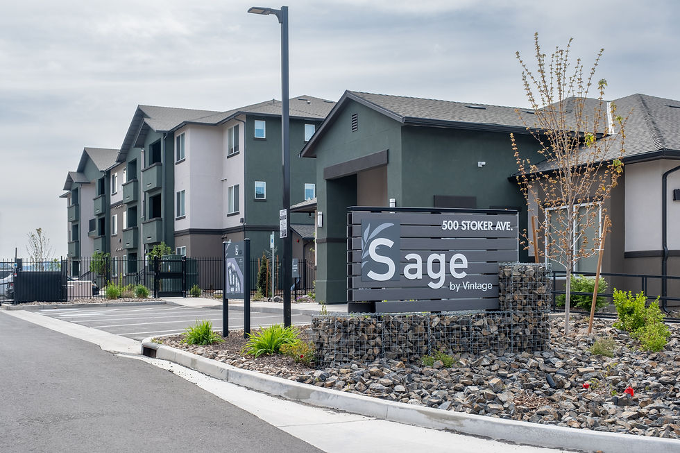 Sage by Vintage
