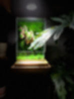 Floating Island M Terrarium Front View Dark