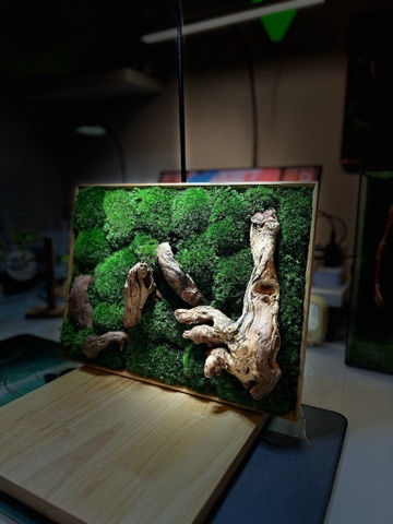 Moss Frame M wall decor home office gift