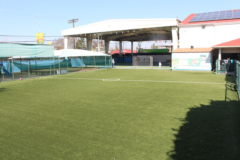 Field