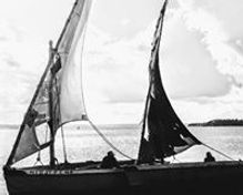 kape kape tours logo