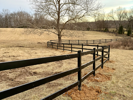 From Your Heart to our Forever Home—Donors Share the Love!