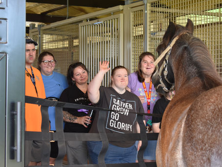 Helping Hands at Ride On St. Louis