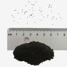 Welsh Poppy seeds