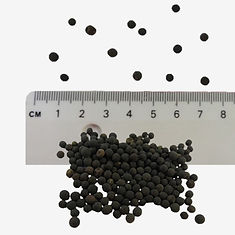 Tufted Vetch seeds