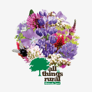 Butterfly Feast wildflower mixture