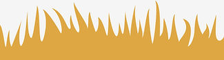 Yellow grass illutration