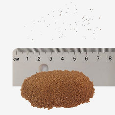 Field Chickweed seeds