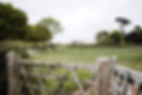 Fenced grass paddock