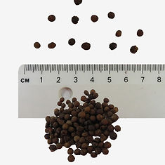 Gladdon seeds