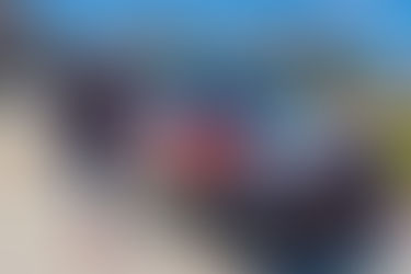 Watercress Neighborhood Event