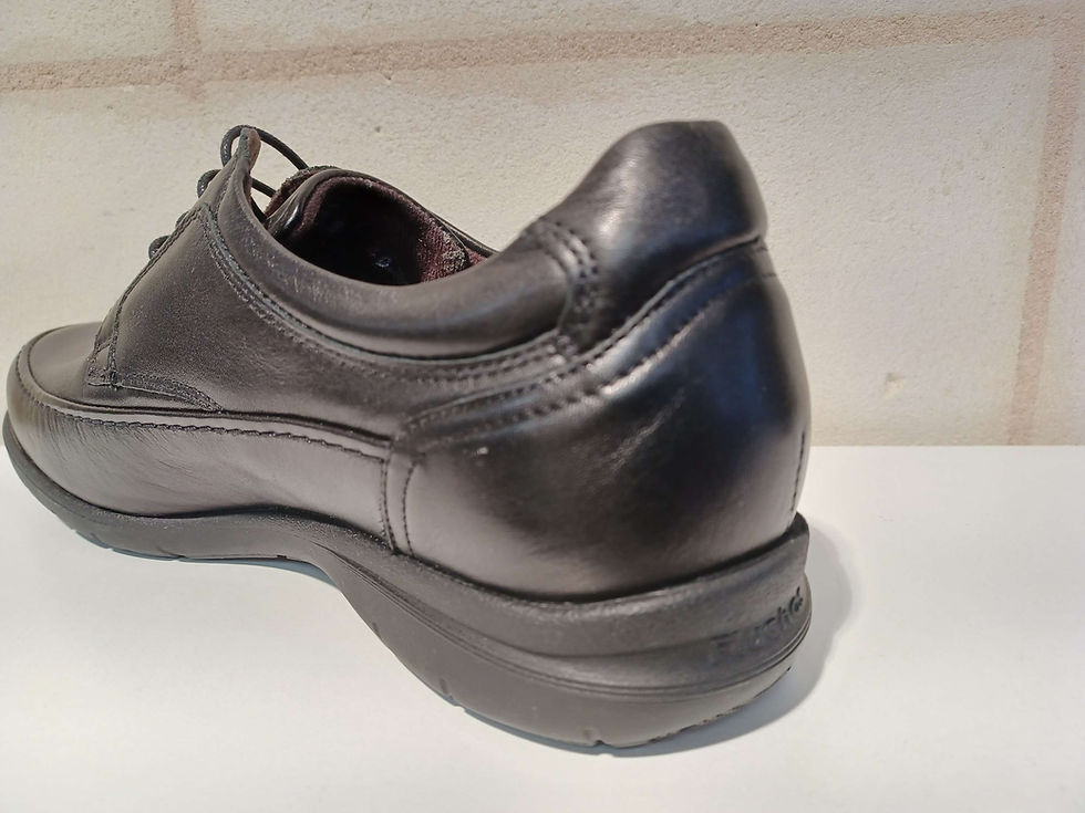 Miniature : FLUCHOS  8498 N