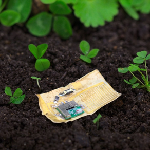 Computer chips now come in biodegradable version!