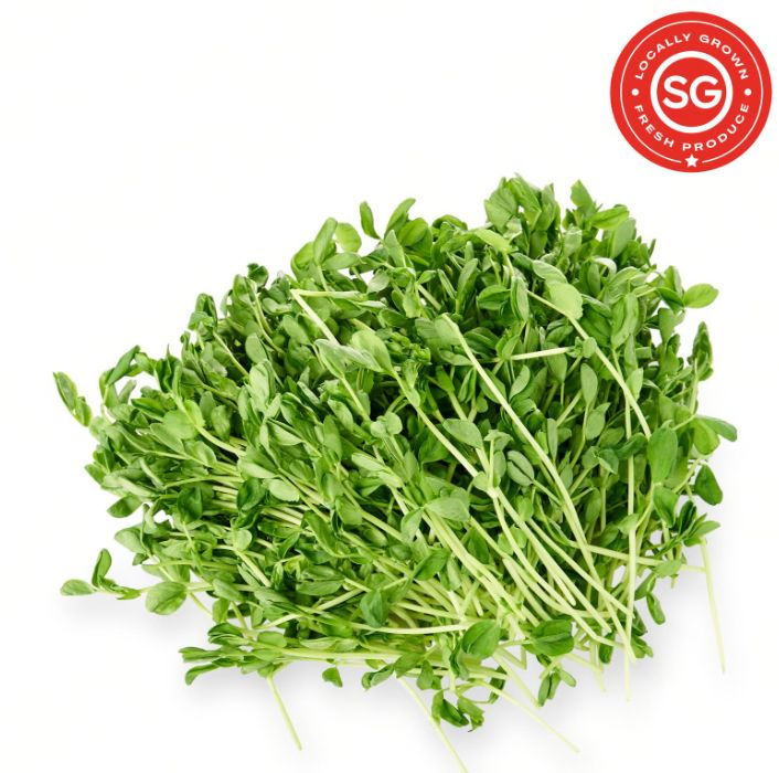 PREMIUM FRESH PEASPROUT 新鲜豆苗