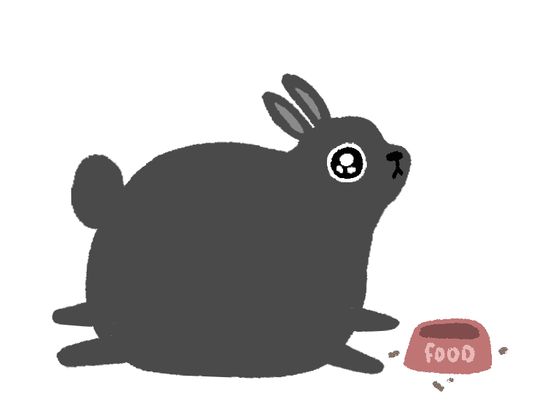 dehill_sadnicko_dribbble.gif