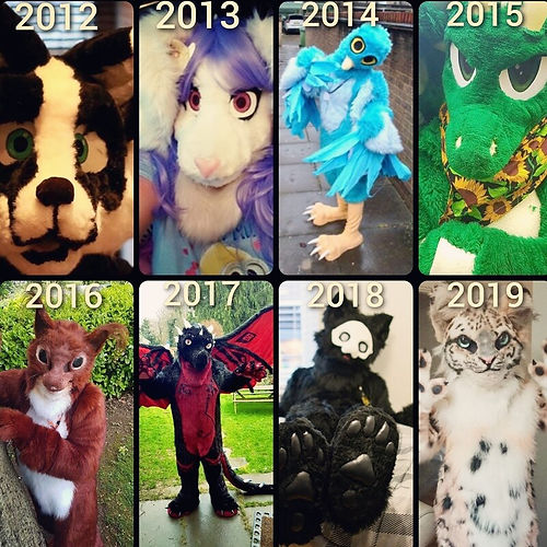 Fursuits 2012 - 2019