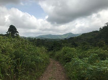 grotte aux chauves-souris 1.jpeg