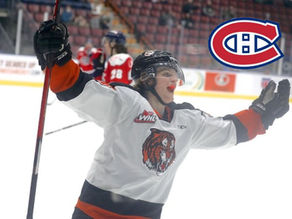 Andrew Basha-profil de joueur et cible potentielle pour 26e rang du CH.