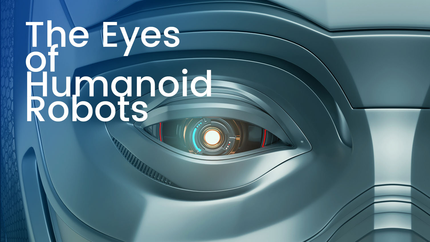Seeing the World Through Artificial Eyes: A Deep Dive into Humanoid Robot Perception Systems