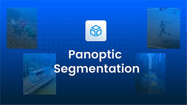 Panoptic Image Segmentation Explained