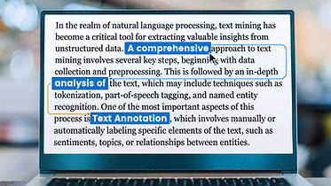 A Comprehensive Analysis of Text Annotation