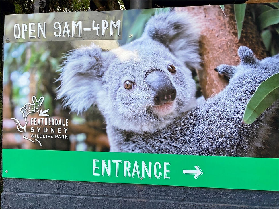 섬네일: [실속] 블루마운틴+페더데일 동물원 그룹투어