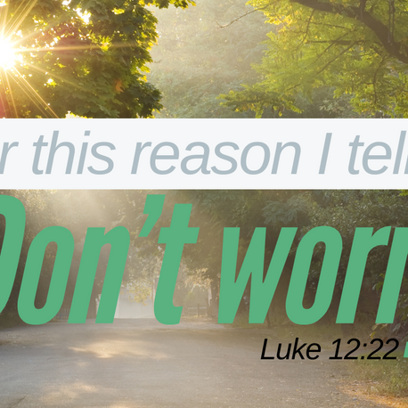 Bible Study- Gospel According to Luke Chpt 12: 22-34- Do Not Worry