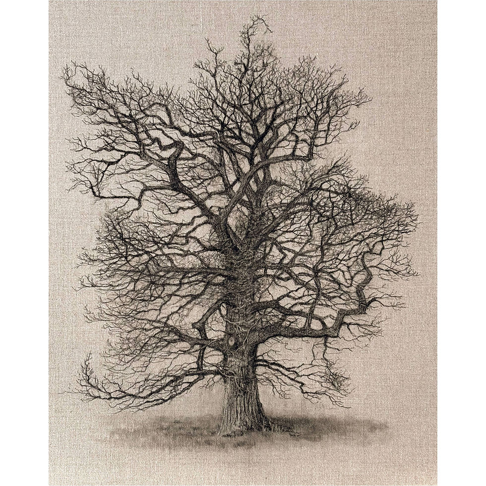 Clare Duguid Winter’s Guardian