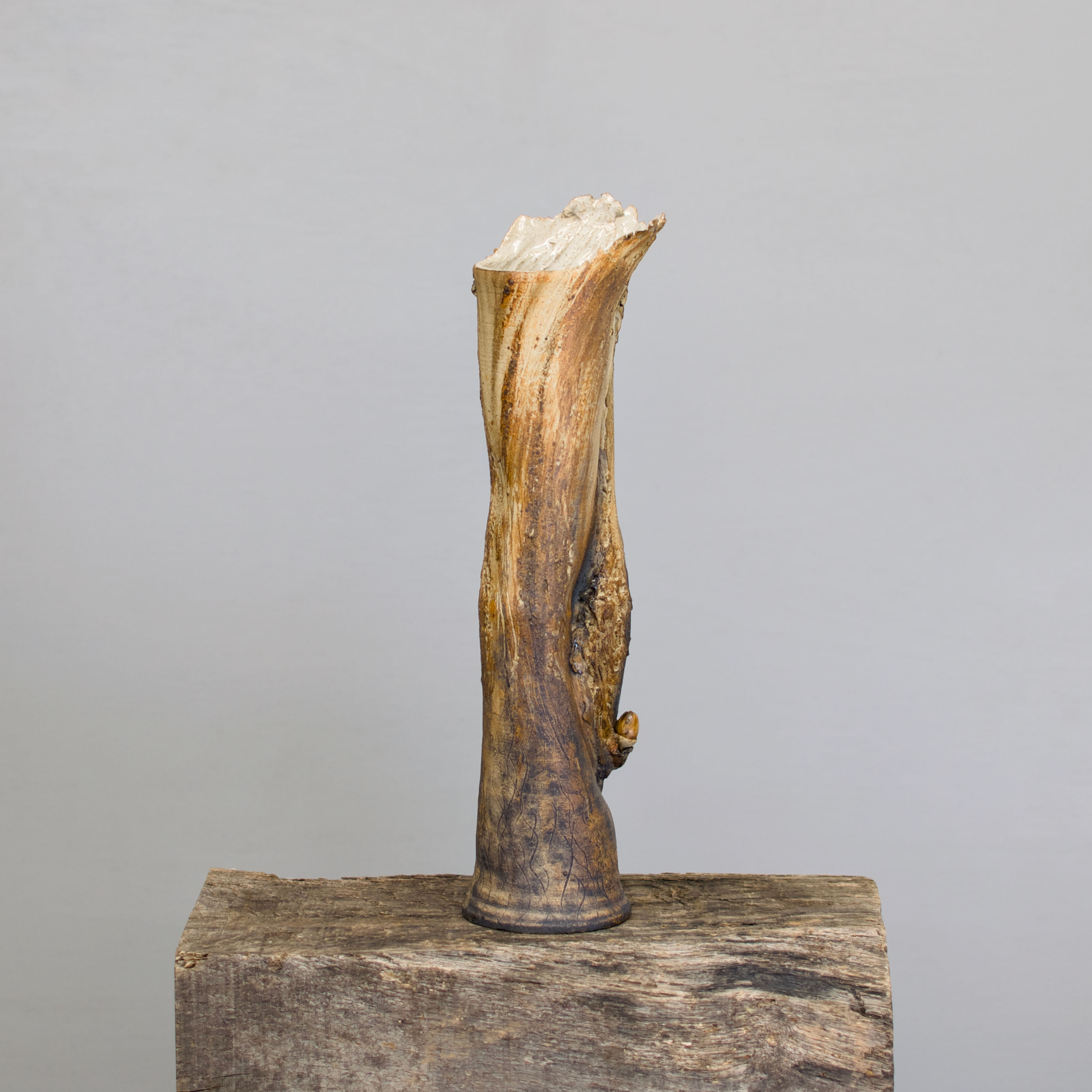 Sonya Wilkins Oak & Acorn