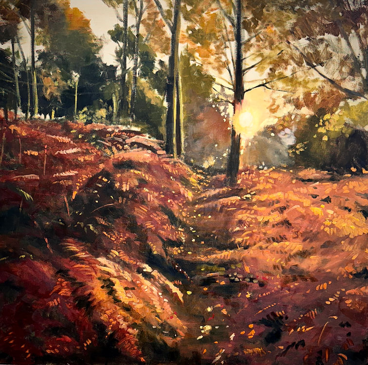 Sun on Bracken.jpg