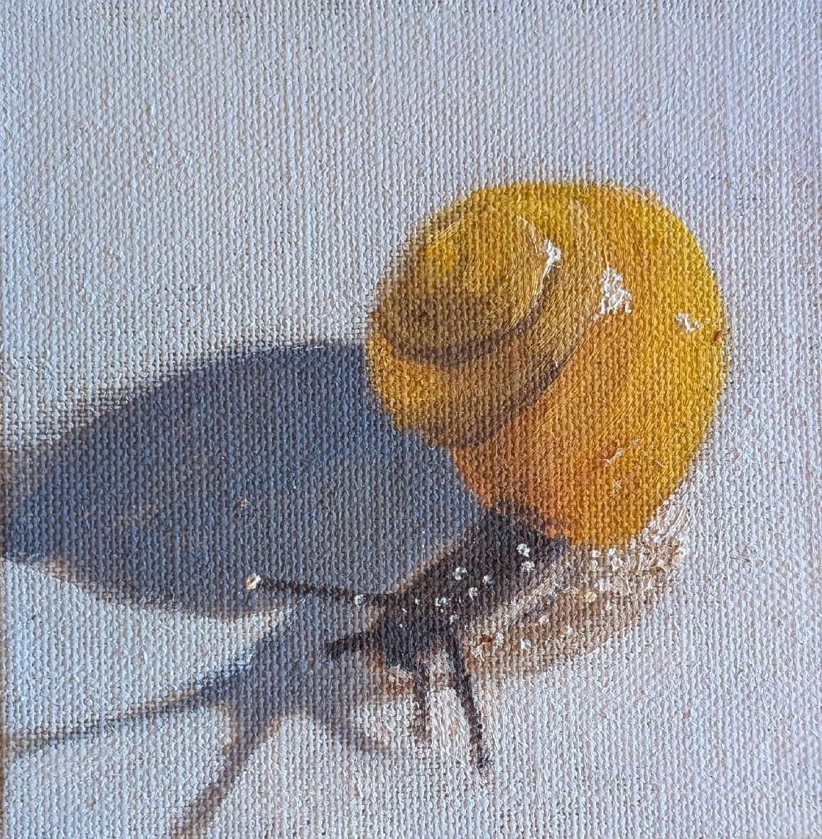 Rosemary Burn Yellow Snail