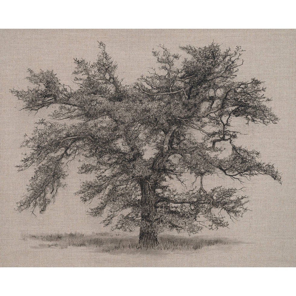 Clare Duguid Oak of Forgotten Tales