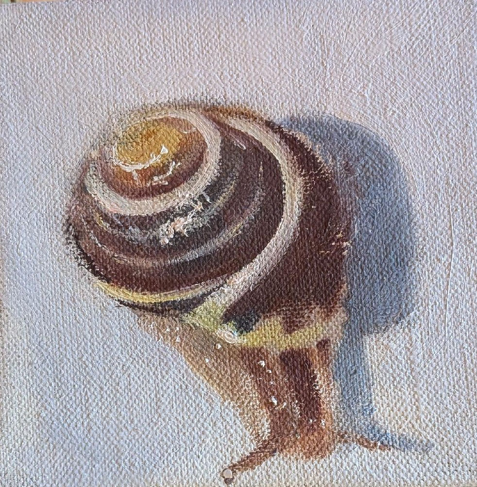 Rosemary Burn Stripy Snail