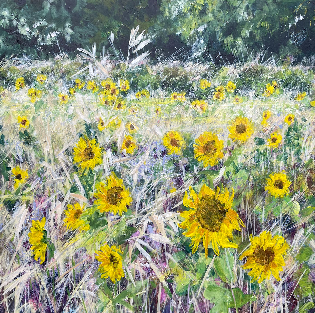 Alison Vickery Sunflower Day