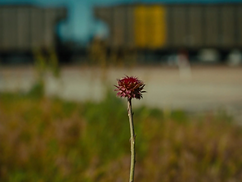 Screen Shot 2026-01-14 at 9.57.36 AM.png