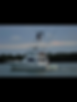 charter boat fishing miami