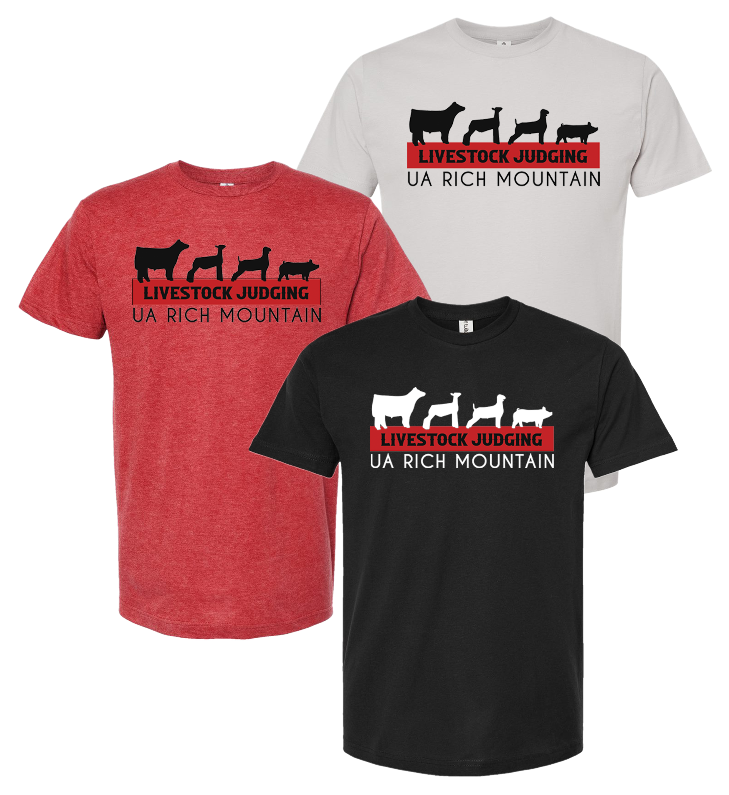 UA Rich Mt. SoftStyle Tee