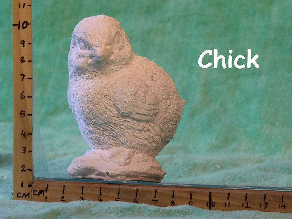 Chick