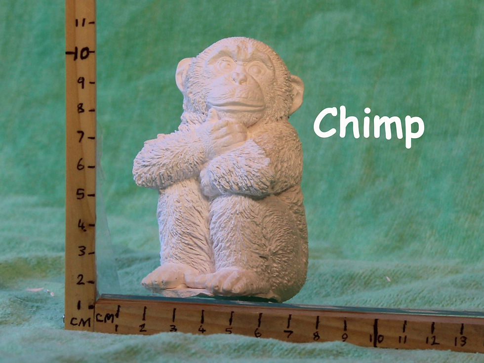Chimp