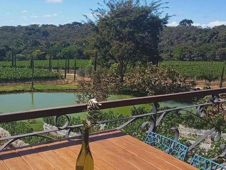 Passeio na Vinícola Villa Triacca